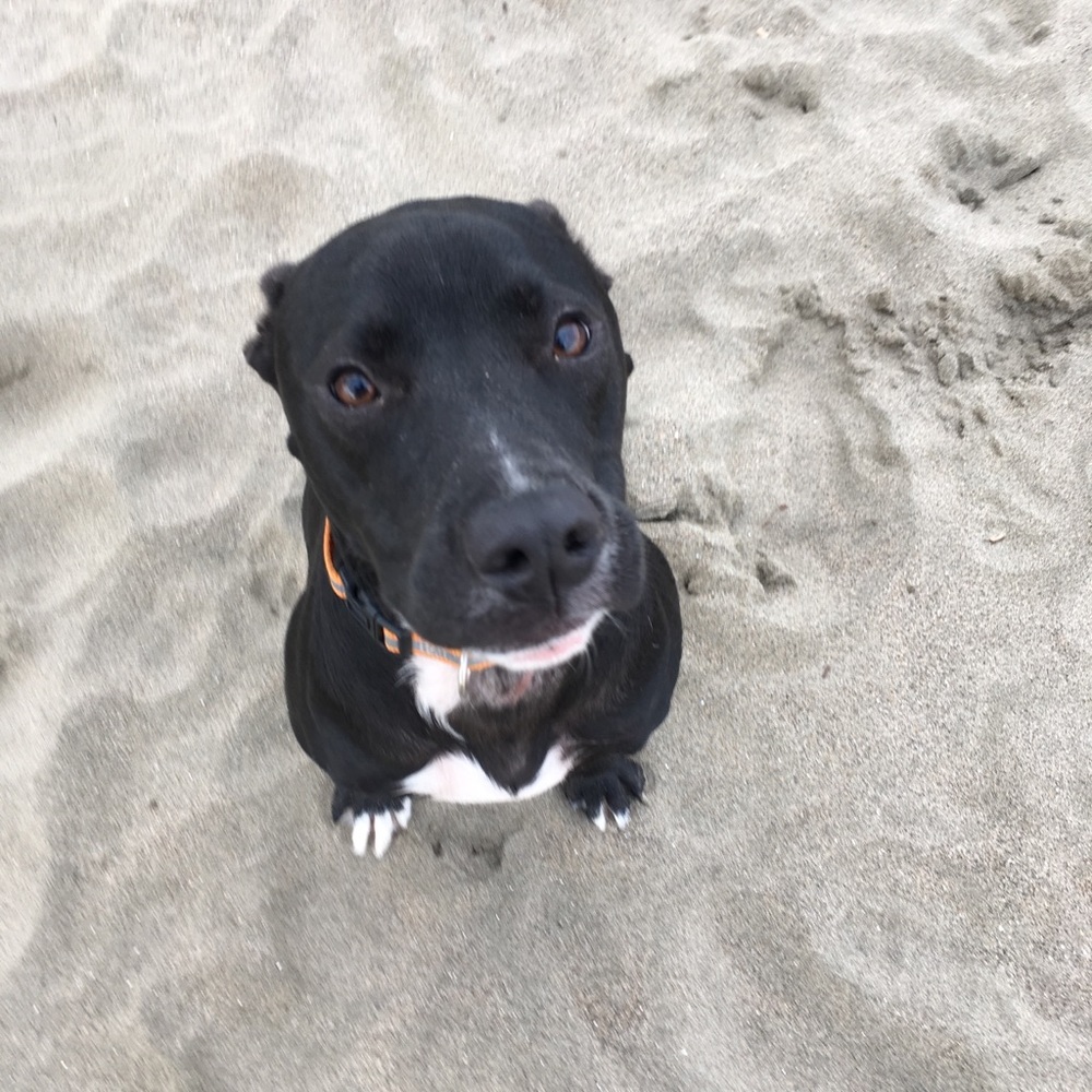 Meet your Posher, Alexia